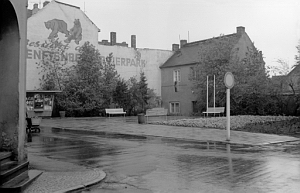 Senftenberg